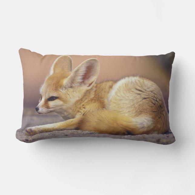 Nordafrika. Ökenräv (Fennecus zerda) Lumbarkudde (Framsida)