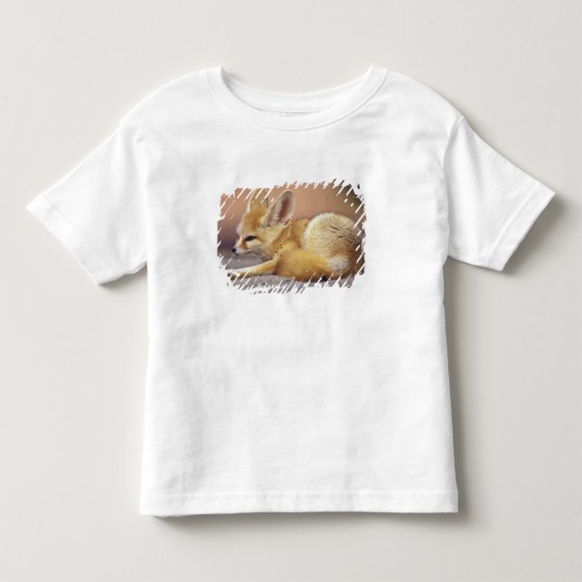 Nordafrika. Ökenräv (Fennecus zerda) Tee Shirt (Framsida)