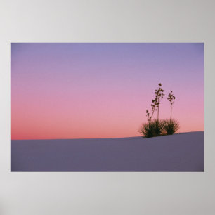 Nordamerika, Amerika, New Mexico, Vit Poster