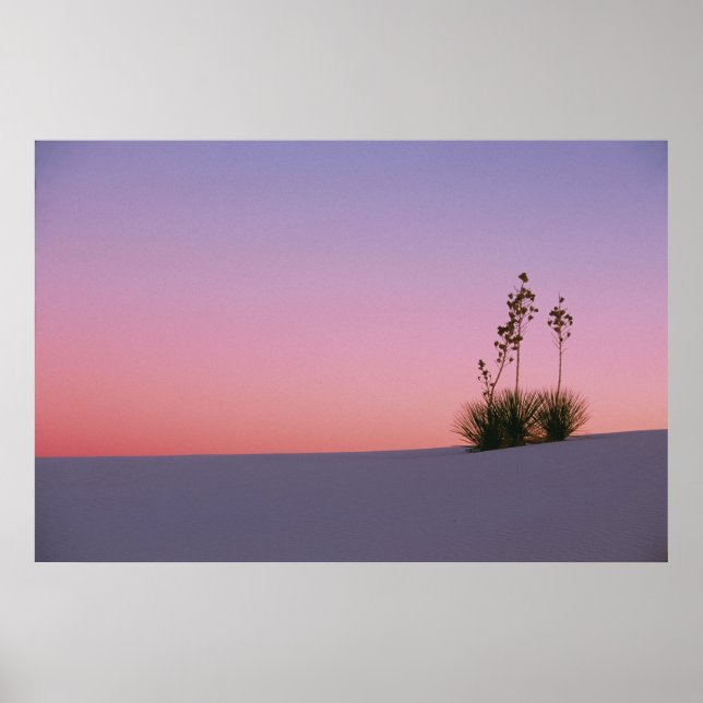 Nordamerika, Amerika, New mexico, Vita Poster (Framsidan)