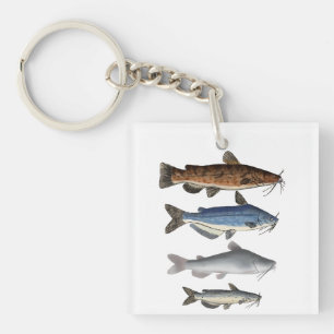Nordamerika Catfish Group