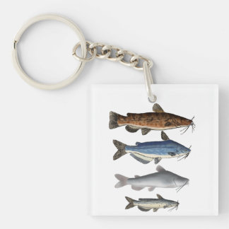 Nordamerika Catfish Group