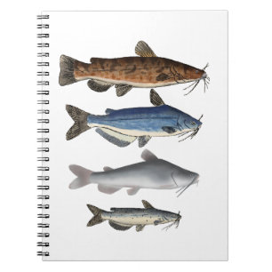 Nordamerika Catfish Group Anteckningsbok