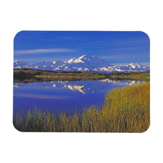Nordamerika, Förenta staterna, Alaska, Denali NP Magnet (Horisontell)