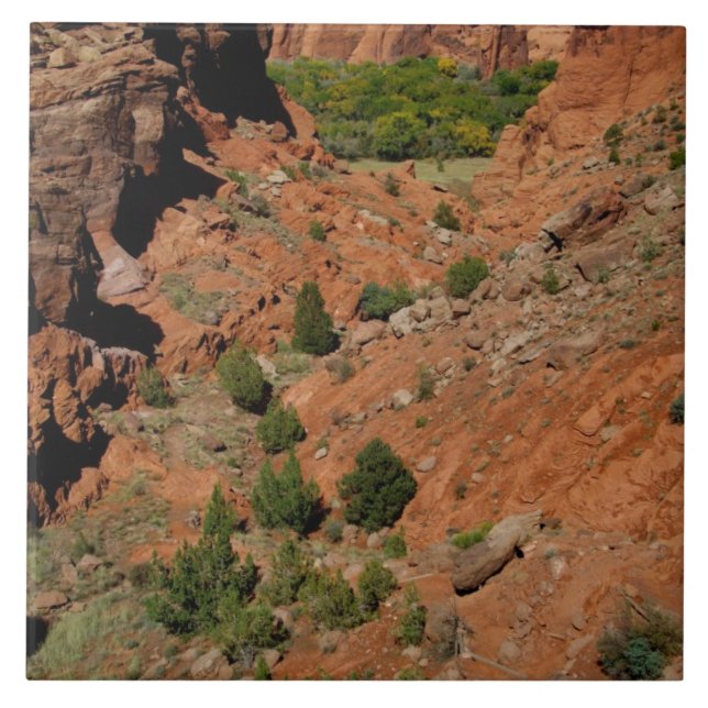 Nordamerika, Förenta staterna, Arizona, Navajo Ind Kakelplatta (Framsidan)