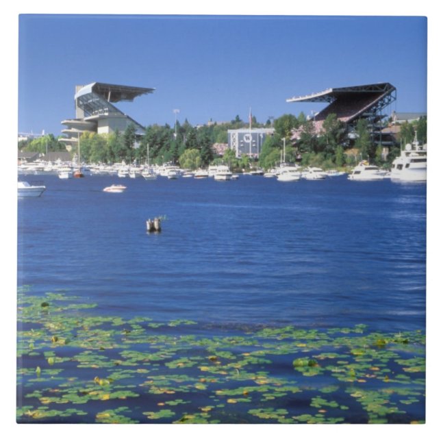 Nordamerika, Förenta staterna, delstaten Washingto Kakelplatta (Framsidan)