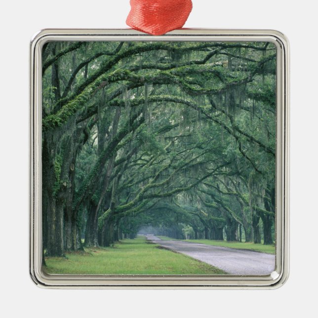 Nordamerika, Förenta staterna, Georgien, Savannah, Julgransprydnad Metall (Framsidan)