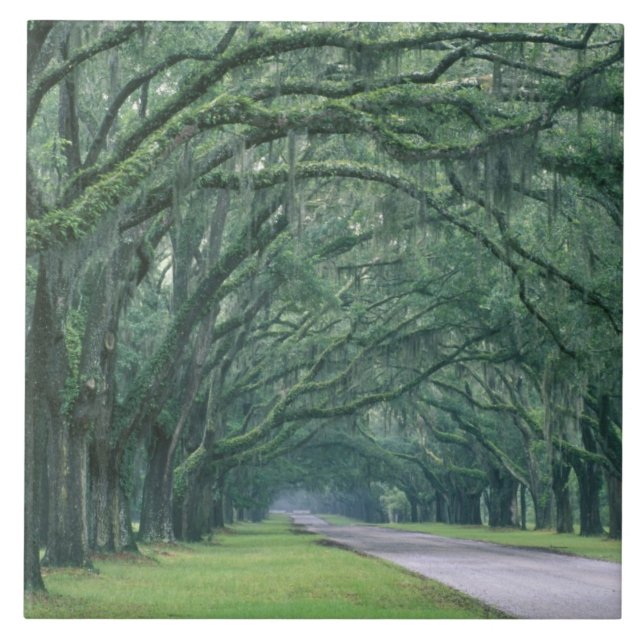 Nordamerika, Förenta staterna, Georgien, Savannah, Kakelplatta (Framsidan)