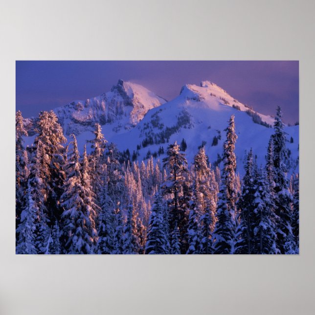 Nordamerika, Förenta staterna, Washington, Mt Rain Poster (Framsidan)