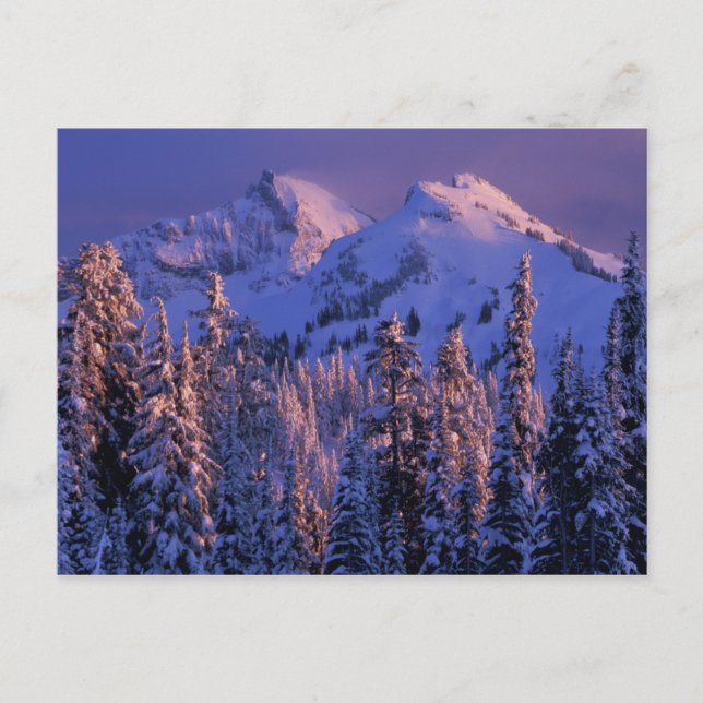 Nordamerika, Förenta staterna, Washington, Mt Rain Vykort (Framsida)