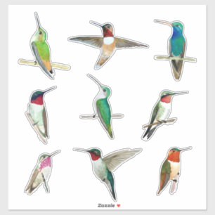 Nordamerika Hummingbird Sticker Klistermärken