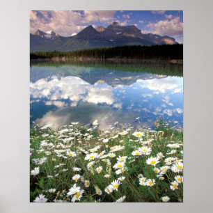 Nordamerika, Kanada, Alberta, Banff Nationalpark 2 Poster