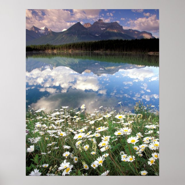 Nordamerika, Kanada, Alberta, Banff Nationalpark 2 Poster (Framsidan)
