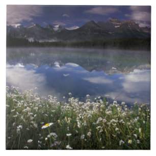 Nordamerika, Kanada, Alberta, Banff Nationalpark Kakelplatta