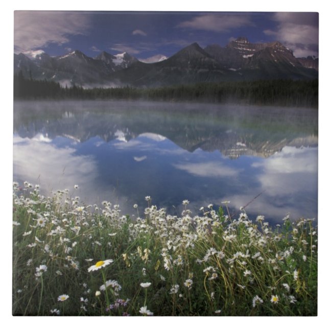 Nordamerika, Kanada, Alberta, Banff Nationalpark Kakelplatta (Framsidan)