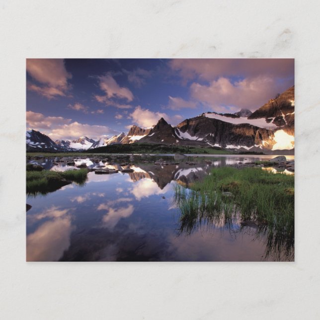 Nordamerika, Kanada, Alberta, Jasper 4 Vykort (Framsida)