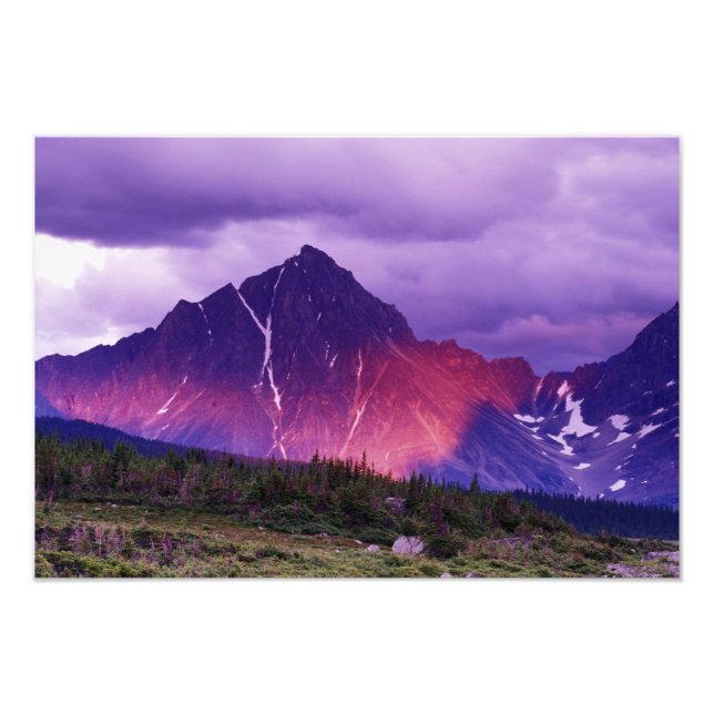 Nordamerika, Kanada, Alberta, kanadensisk Fototryck (Framsidan)