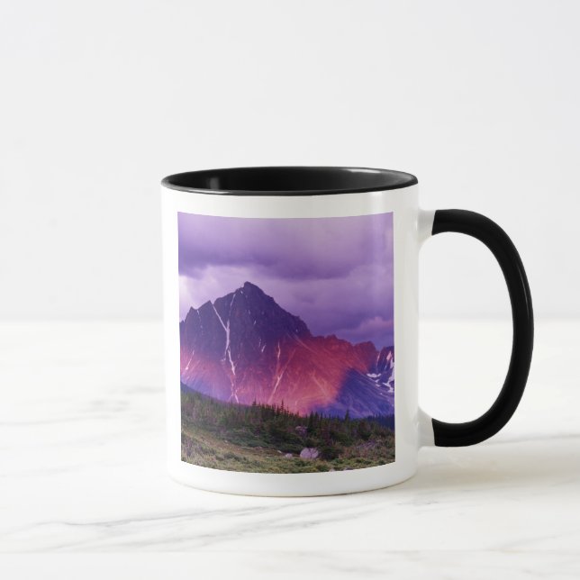 Nordamerika, Kanada, Alberta, kanadensisk Mugg (Höger)