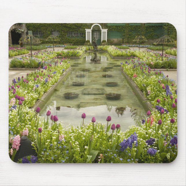 Nordamerika, Kanada, British Columbia, 4 Musmatta (Framsidan)