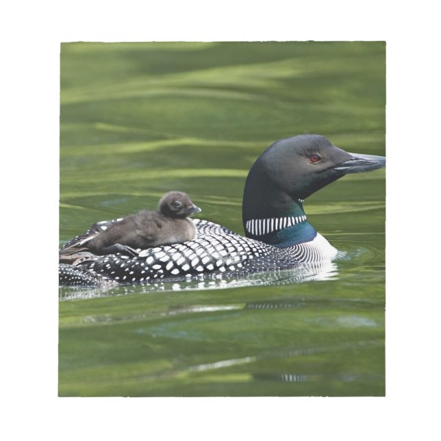 Nordamerika, Kanada, British Columbia, Lac Le Anteckningsblock (Framsida)