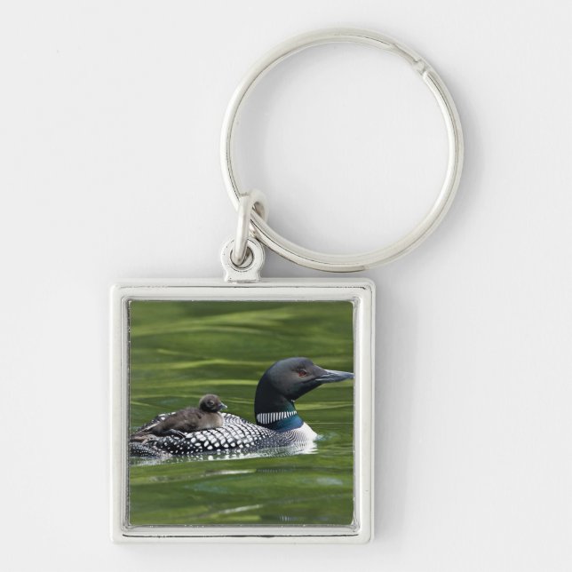 Nordamerika, Kanada, British Columbia, Lac Le Fyrkantig Silverfärgad Nyckelring (Framsidan)