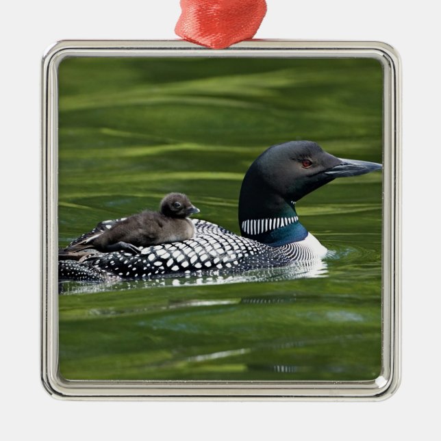 Nordamerika, Kanada, British Columbia, Lac Le Julgransprydnad Metall (Framsidan)