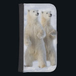 Nordamerika, Kanada, Manitoba, Churchill. 5 Plånboksfodral<br><div class="desc">Nordamerika,  Kanada,  Manitoba,  Churchill Polar Bear och unge om varning � Rebecca R Jackrel / DanitaDelimont.com</div>