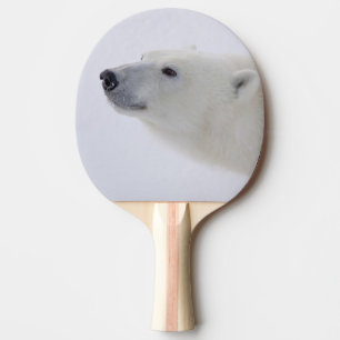 Nordamerika, Kanada, Manitoba, Churchill. 6 Pingisracket