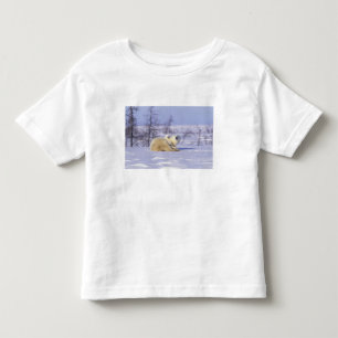 Nordamerika, Kanada, Manitoba, Churchill. 9 T-shirt