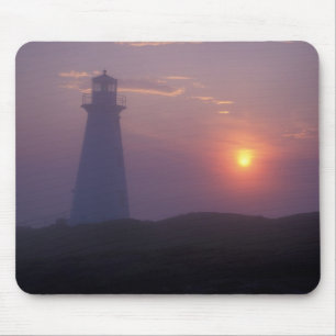 Nordamerika, Kanada, Newfoundland, Cape Spear, Musmatta