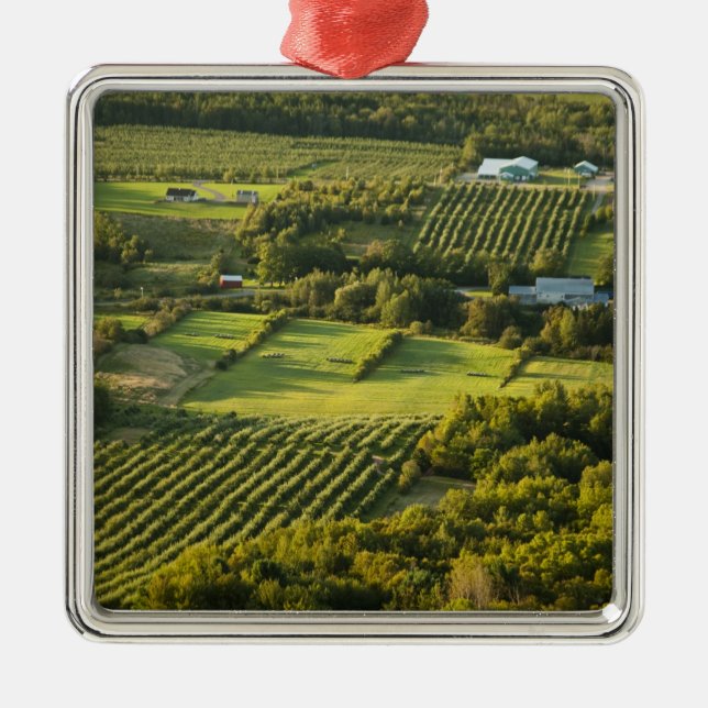 Nordamerika, Kanada, Nova Scotia, Annapolis Julgransprydnad Metall (Framsidan)