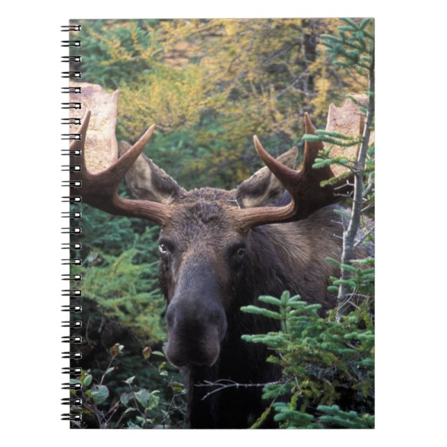 Nordamerika, Kanada, Nova Scotia, Cape Breton Anteckningsbok Med Spiral (Framsidan)