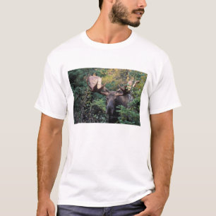 Nordamerika, Kanada, Nova Scotia, Cape Breton T Shirt