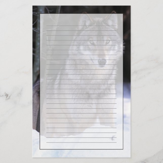 Nordamerika, Kanada, Östra Kanada, Grått varg Brevpapper (Framsida)