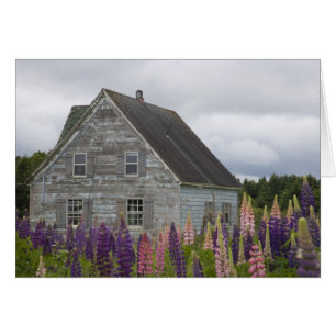 Nordamerika, Kanada, Prince Edward Island, Hälsningskort