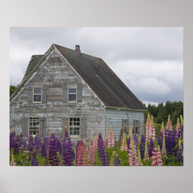 Nordamerika, Kanada, Prince Edward Island Poster (Framsidan)