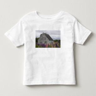 Nordamerika, Kanada, Prince Edward Island, Tee