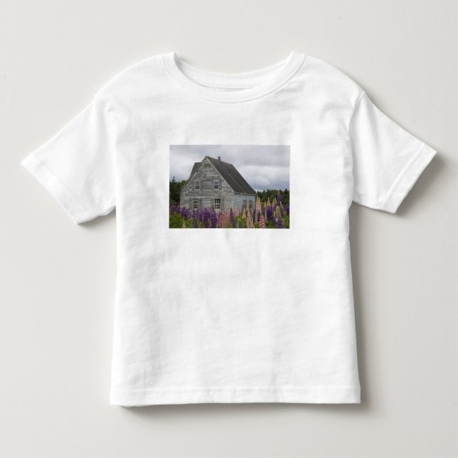 Nordamerika, Kanada, Prince Edward Island, Tee (Framsida)