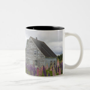 Nordamerika, Kanada, Prince Edward Island, Två-Tonad Mugg