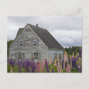 Nordamerika, Kanada, Prince Edward Island, Vykort