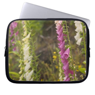 Nordamerika, Kanada, Queen Charlotte-öarna, 2 Laptop Sleeve