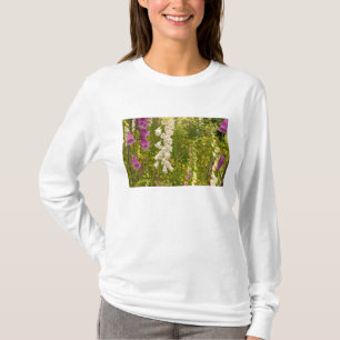 Nordamerika, Kanada, Queen Charlotte-öarna, 5 T-shirt