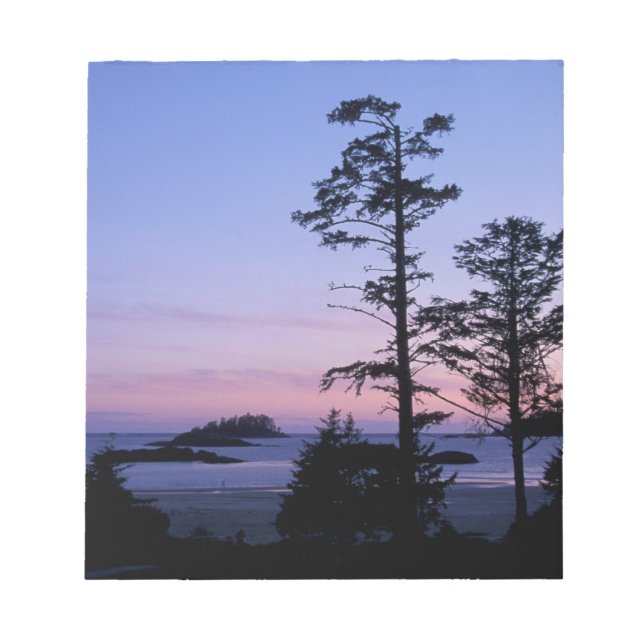 Nordamerika, Kanada, Vancouver Island, träd Anteckningsblock (Framsida)