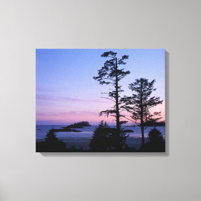 Nordamerika, Kanada, Vancouver Island, träd Canvastryck (Framsida)