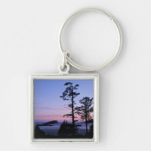 Nordamerika, Kanada, Vancouver Island, träd Fyrkantig Silverfärgad Nyckelring