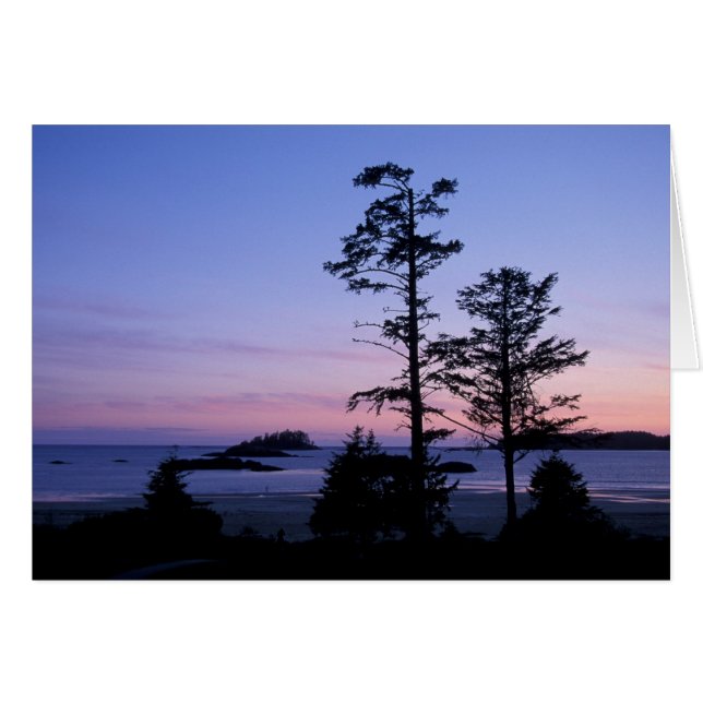 Nordamerika, Kanada, Vancouver Island, träd Hälsningskort (Framsidan Horizontal)