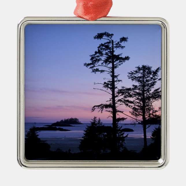 Nordamerika, Kanada, Vancouver Island, träd Julgransprydnad Metall (Framsidan)