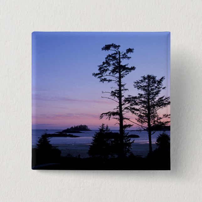 Nordamerika, Kanada, Vancouver Island, träd Knapp (Framsida)