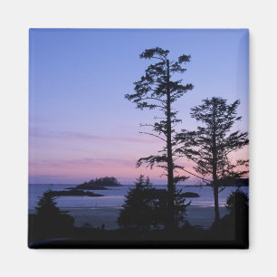 Nordamerika, Kanada, Vancouver Island, träd Magnet