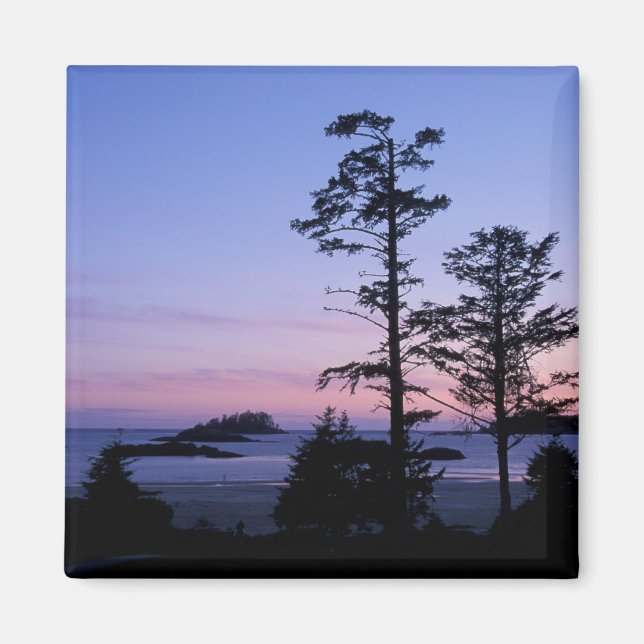 Nordamerika, Kanada, Vancouver Island, träd Magnet (Framsidan)